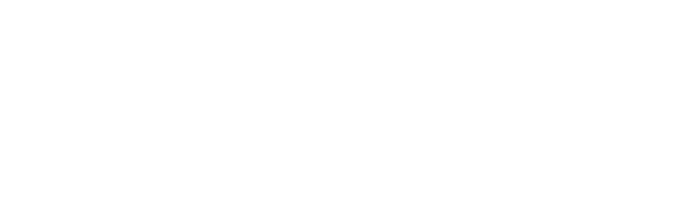 Nijhuis Beveiliging